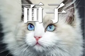 面子，是世界上最不值钱的东西图片