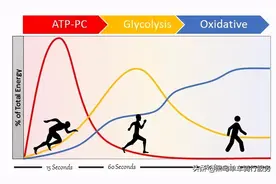 能量棒什么时候吃最好？有哪些功效，适合哪些人吃图片