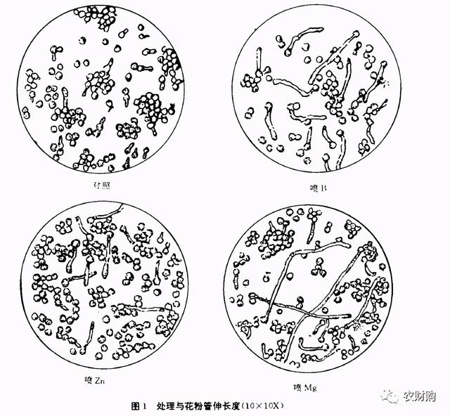 鑺辨湡琛ョ〖锛岃繕鏄ˉ閽欓晛纭硷紵杩樻槸鍏ㄩ兘琛ワ紵瀹為獙鏁版嵁鍛婅瘔浣犺琛ヤ粈涔? onerror=
