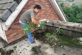 老楼的房顶漏雨，一到下雨天苦不堪言，求支招图片