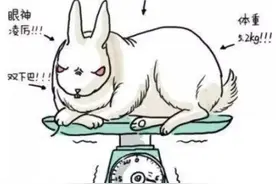 华西附二院肌瘤剔除术住院记——有需要的筒子们这一篇就够用图片