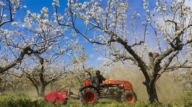 �۰�������������ʱ������Ӱ�����·糱 | ��Ӱ������ͼ��