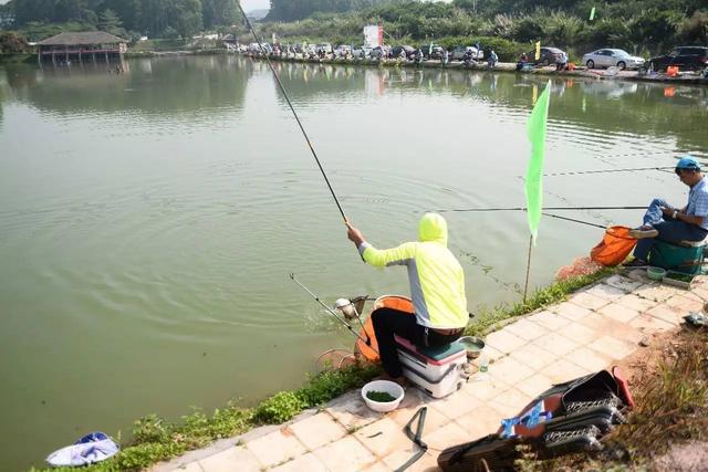 什么钓鱼最有效？氨基酸和维生素b钓鱼有用吗？详解钓鱼的误区