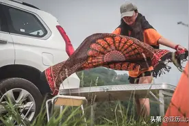 硬派越野SUV——哈弗H9，郊外野餐怎能不带它，下坡下坡无所不能图片