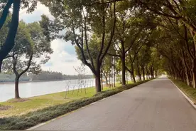 两个男人的故事图片