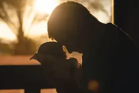 父亲的生物学意义：爸爸多带娃，孩子更聪明图片