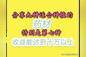 九种市场缺口很大的药材，有的能亩入十万，请收藏图片