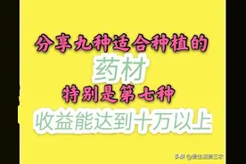 九种市场缺口很大的药材，有的能亩入十万，请收藏图片