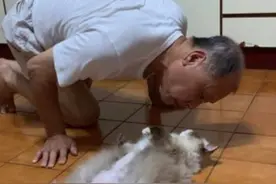 父亲放话“要把猫从楼上丢下去”，没过几天，就打脸了图片