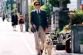 导盲犬被拒载，委屈大哭：有些冷漠，比永恒的黑暗更可怕图片