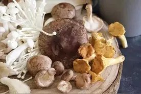 这些蔬菜的钙质、蛋白质比肉更高，正确吃蔬菜，3个冷知识需掌握图片