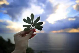 人品差的人，开口闭口都是这些话，希望没有你图片