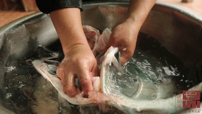 花胶老鸽汤需要放血 2026年花胶老鸽汤需要放血炖吗