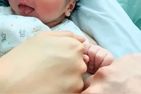 倪晨曦官宣产子！与低颜值精英男登记才2个月，结婚生娃进度猛图片