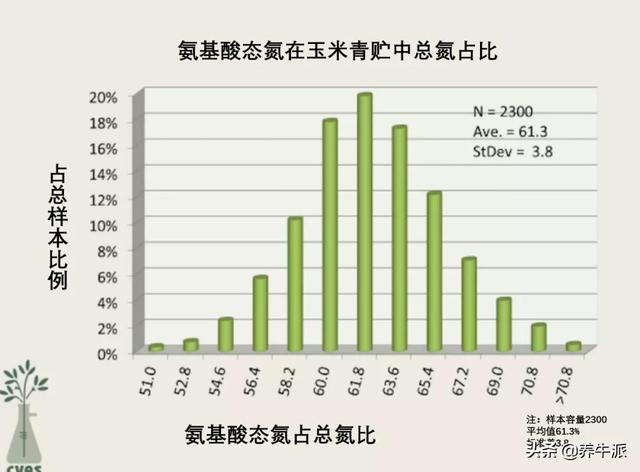 玉米青贮蛋白水平知多少