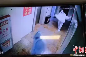 生了！”特殊的弄璋之喜背后：隔离，不隔爱图片