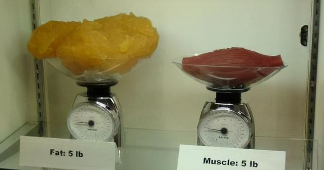 这是因为,减肥不等于减重,肌肉和脂肪密度有差别.