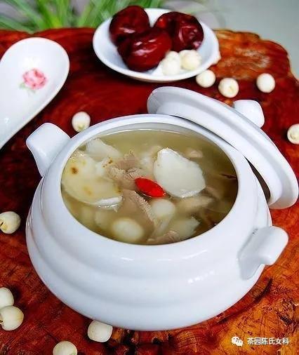 花胶的做法备孕男性 2026年花胶炖什么适合男人