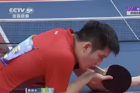 樊振东战胜马龙，广东队赢得乒乓男团冠军图片