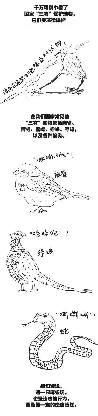 有画说丨“三有”动物？什么意思？是不是写错了？来，一起“涨姿势”