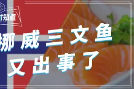 抗生素三文鱼逃入大海，挪威被重罚660万！中国已加强进口检测视频封面