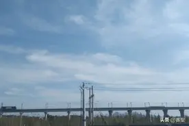 那年在青海格尔木，我与独狼随行过的那段记忆犹新真实经历图片