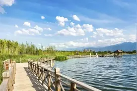 解锁新玩法！野餐+采摘 好去处get图片
