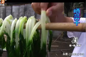 晒菜干原来还有窍门的，做好这个步骤，晒出来的菜干才好吃视频封面