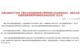 本月10日起，这些物品被禁止或限制携带和托运，涉及生命财产安全图片