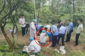 匪夷所思！夫妻俩进山看风景，妻子羊水突然破了，丈夫一个操作惊呆众人图片