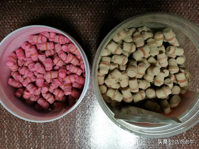 漫谈基础饵：高蛋白颗粒、开口料、能量料的钓鱼选择和避坑技巧