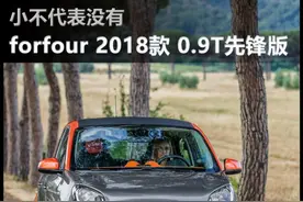 麻雀虽小五脏俱全 smart forfour图片