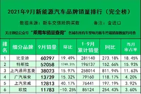 2021年9月新能源汽车细分品牌销量排行（完全版）图片
