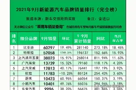 2021年9月新能源汽车细分品牌销量排行（完全版）图片