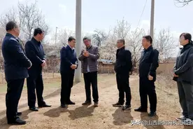 白静一行在武乡县调研指导文化旅游产业发展工作图片