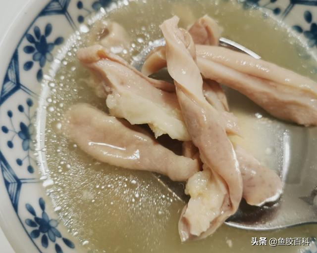 花胶竹笙煲白鸽的做法大全 竹笙炖花胶功效