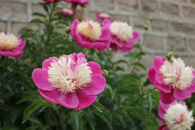 按自己的方式过生活图片