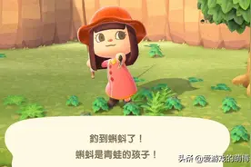 和大家分享六个小技巧，《集合啦！动物森友会》小白入门图片