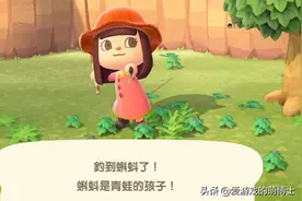 和大家分享六个小技巧，《集合啦！动物森友会》小白入门图片