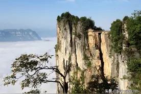 门票全免，美味上线，现金大奖等你开启，精彩不容错过图片