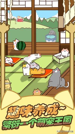 《猫咪田园》萌系猫咪养成游戏，猫咪爱好者的狂欢！3月12日上线
