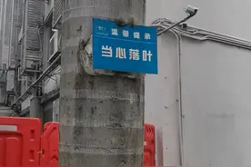 广东一男子看到当心落叶的提示语不理解，一看树叶顿觉自己冒犯了图片