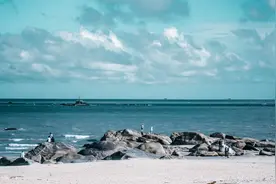 观影｜|春光乍泄图片