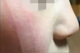 被挠了也要撸猫，你伤害了我，我一笑而过图片