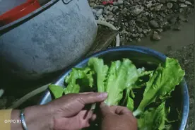 三农百态，记录生活轨迹图片