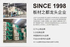 2020年“中国十大生态板品牌”评选（网评）千山再次脱颖而出图片