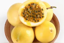 百香果中的“爱马仕”——植物非试管高效快繁技术快繁黄金百香果图片