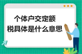 个体户交定额税具体是什么意思图片