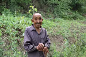 土地成为农民养老资本，两类人有地就能领养老金，两大问题要注意图片