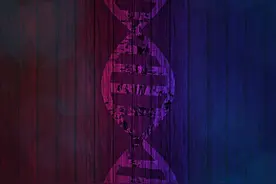 一个基因突变，让人变矮4厘米图片
